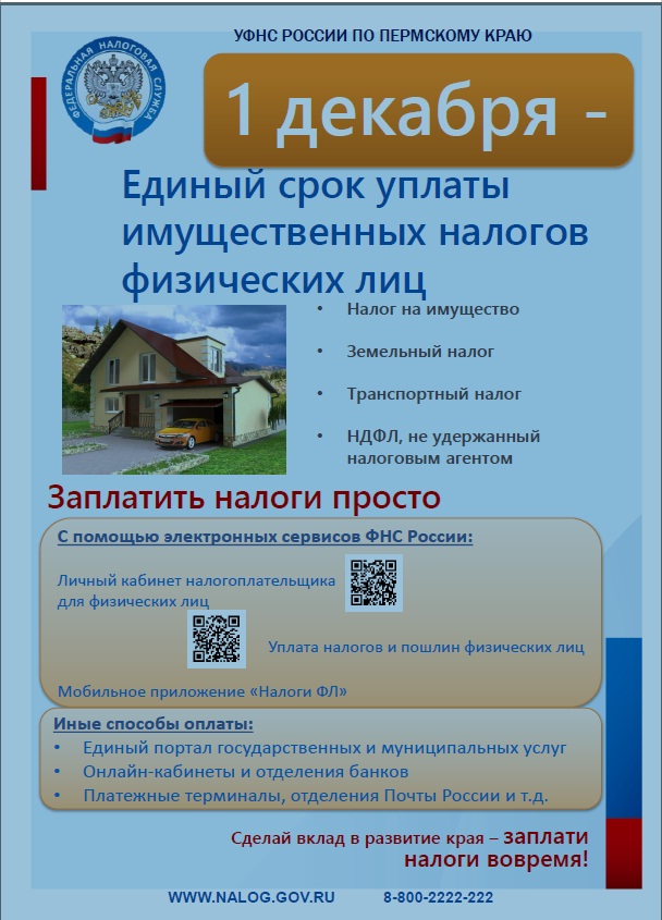 налоги 1.jpg